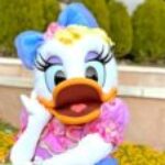 りさ のプロフィール写真